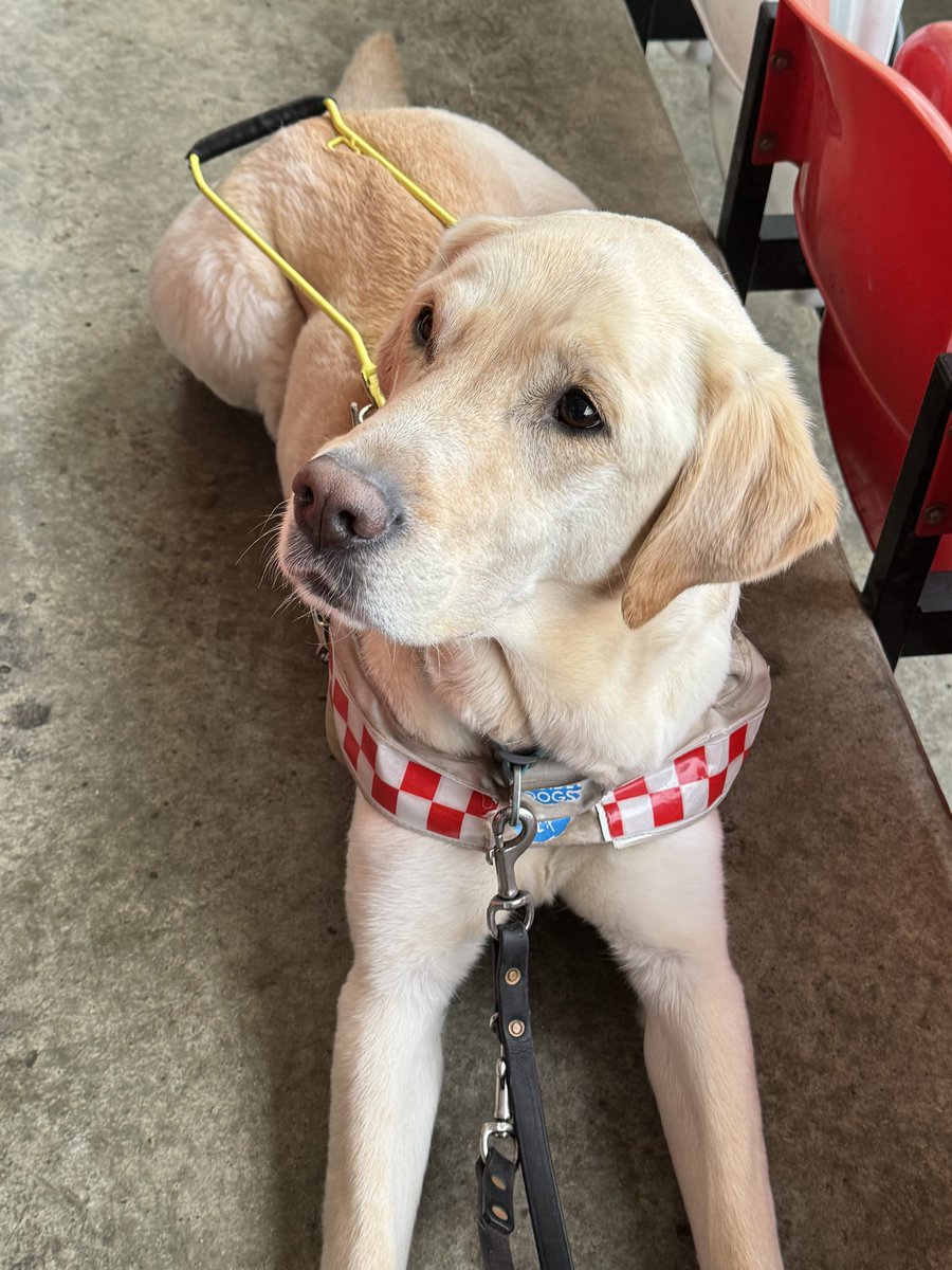 Jon Attenborough tweet media