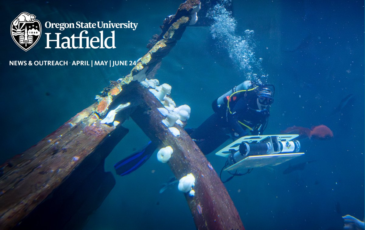 Catch up on news from around the Hatfield campus, meet new staff and learn about research findings in this issue of our newsletter. mailchi.mp/oregonstate/hm…