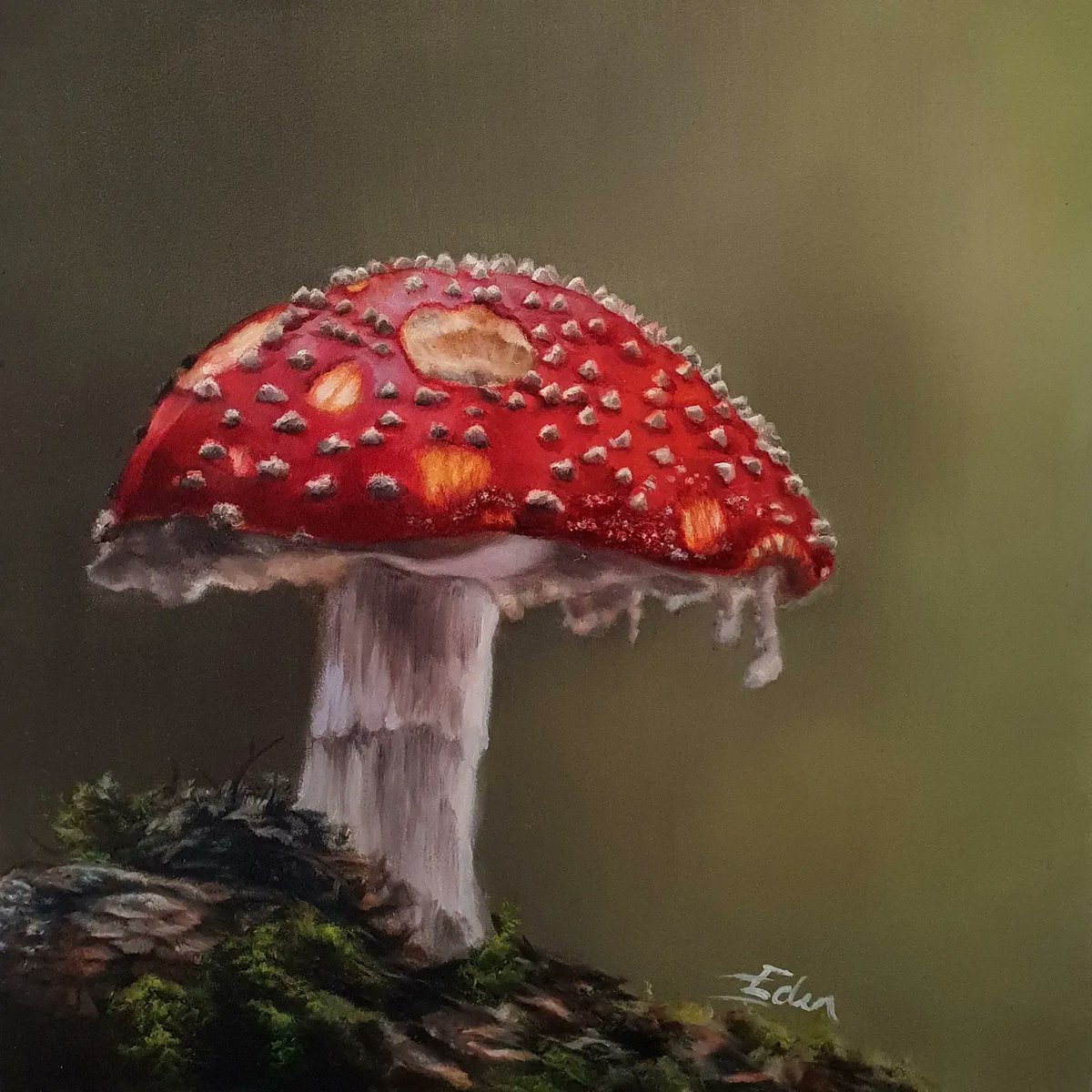 About to paint another of these little gems.

Prints still available of this one. 

#flyagaric #toadstool #mushroom #fungi #flora #britishflora #Britishcountryside #wonderfulnature #toadstoolpainting #oilpainting