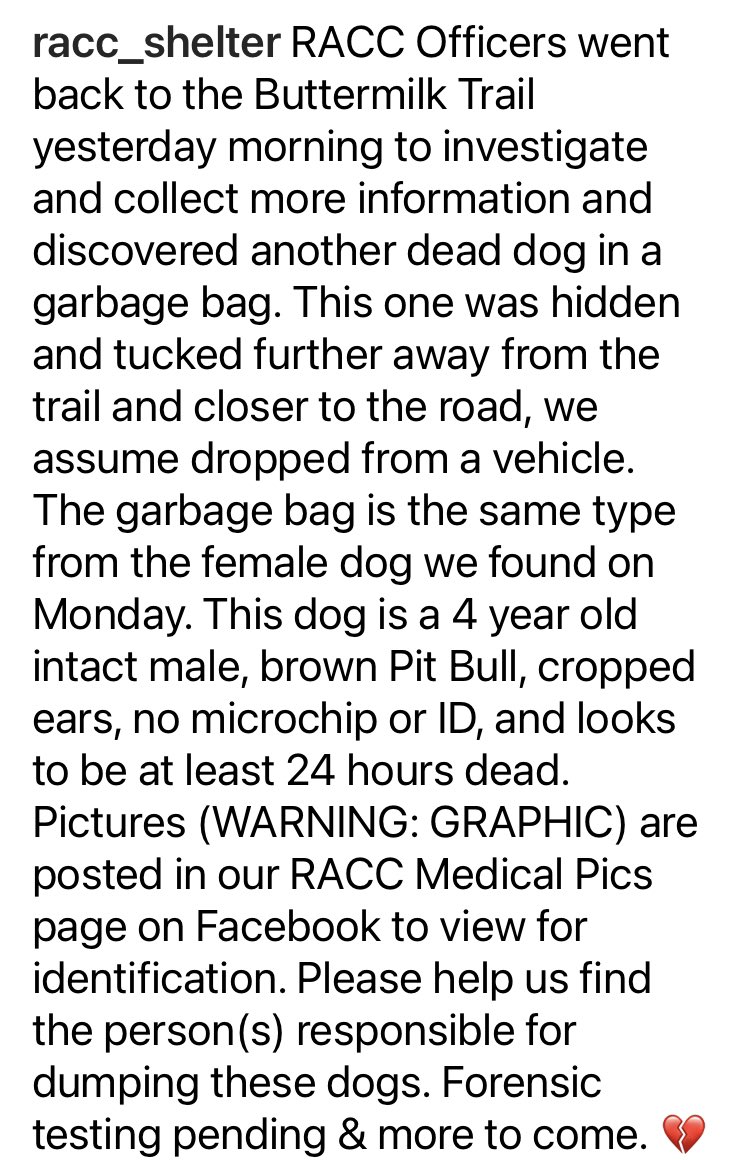 #rva Another murdered dog; a male pit mix, dumped in the same kind of garbage bag. @RichmondPolice @8NEWS @RTDNEWS @12OnYourSide offer a BIG reward and why were not trail cams immediately installed on the Buttermilk Trail to catch this criminal breeder dogfighter killer?! #RIP
