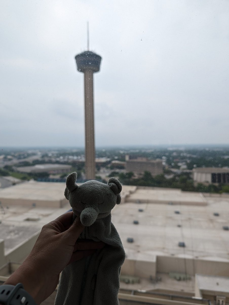 Arrived in San Antonio for #AUA24 ! My 5 year old son generously offered to lend me his elephant lovey (Bia, for those who know) to take with me so I wouldn't be lonely 🥹

#academicsurgeonmom
