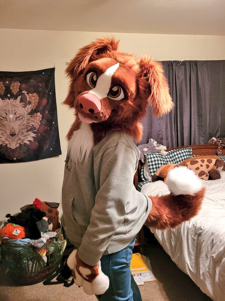 Reed the Retriever is up on DD! Full partial (head, paws, tail) looking for a loving home! 🐶💚 RTs appreciated! 🙏 thedealersden.com/listing/reed-t… #fursuitforsale #suitforsale #fursuit