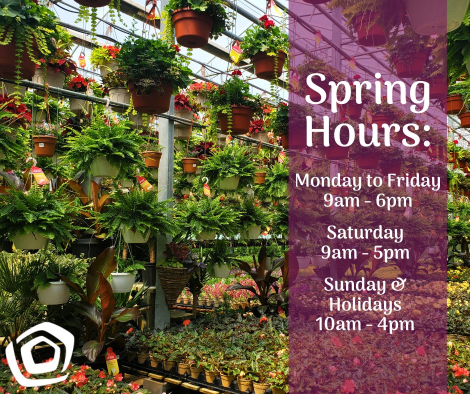 Here are our hours for the month of May.

#thebloomingardener #springhours #open7days #spring2024 #localgreenhouse #patiopots #hangingbaskets #planters #windowboxes #gardendecor #YQG #yqgbusiness