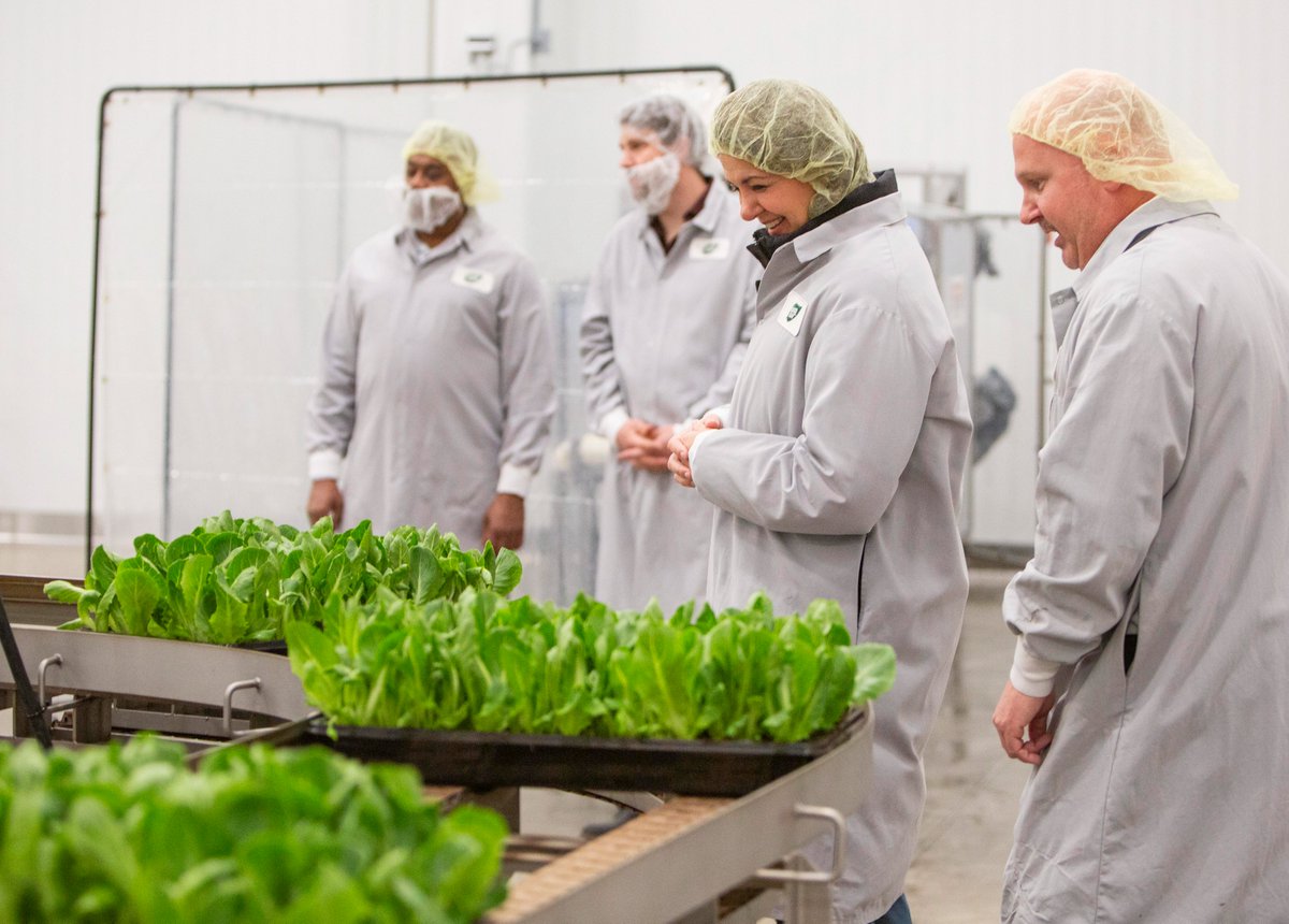 It was a pleasure to join my colleagues yesterday to tour @goodleaffarms in Calgary! With a stable year-round growing environment, this 100,000+ sqft, cutting edge vertical farming facility is growing nutrient-dense, sustainable microgreens for Albertans 365 days of the year.…