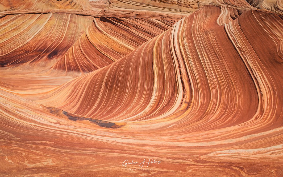 Everywhere you look at The Wave there are incredible patterns. #thewave #thewavearizona #arizona #canonexploreroflight #canonusa #ShotOnCanon #adventurephotography #travelphotography #YourShotPhotographer #landscapephotography #teamcanon