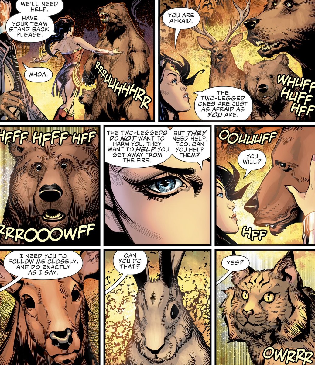 I lov Wonder Woman seeing communicate with animals and another magical creatures. This is due to the blessing of Artemis. This is very important to her mythos as it shows that Diana has storng connection to Gaea and all living things