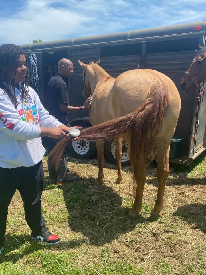 The Equine industry is important to Tennessee's economy/heritage. We’re ranked 6th nationally for the number of equine in the state.
Large Animal Science students w/Ms. Aiosa learned about the equine industry. Today they learned about horses first-hand.#TechLife 
@JMCSchools
