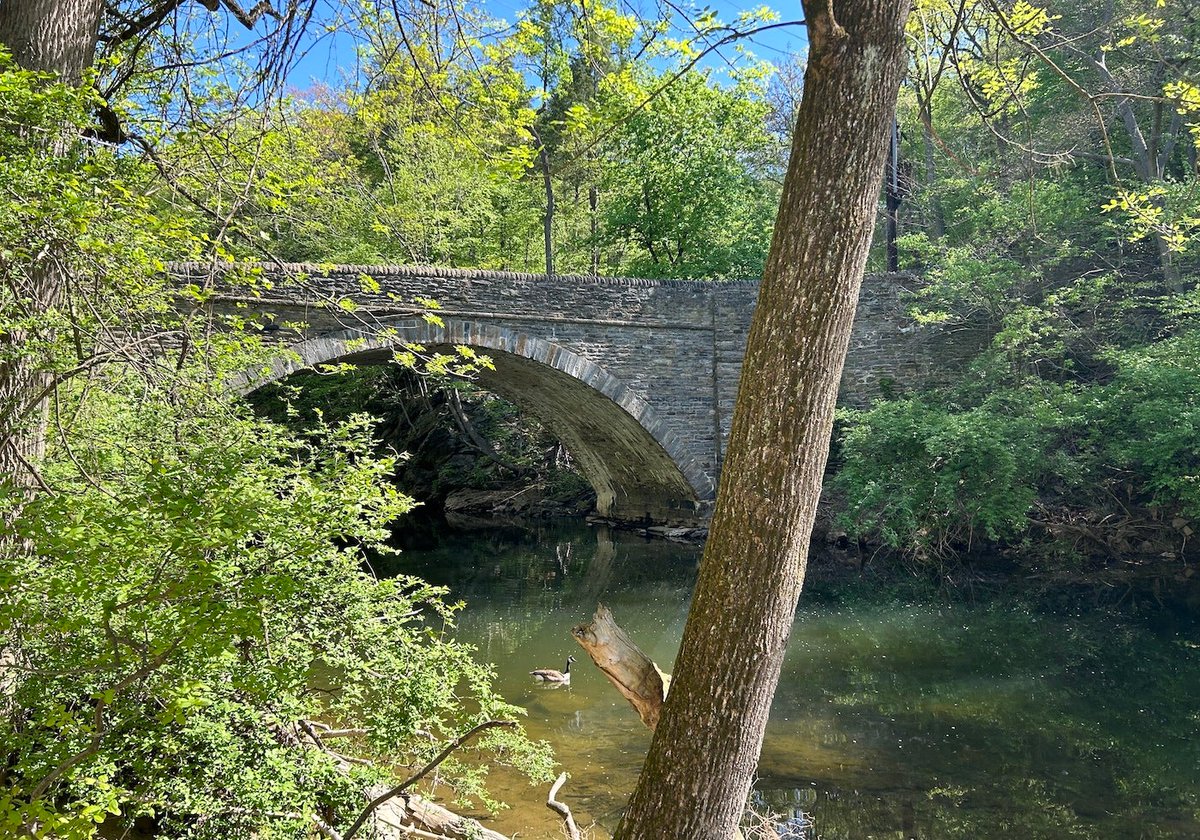 Federal money will help prepare two Philly bridges for climate-driven floods dlvr.it/T6HRsZ