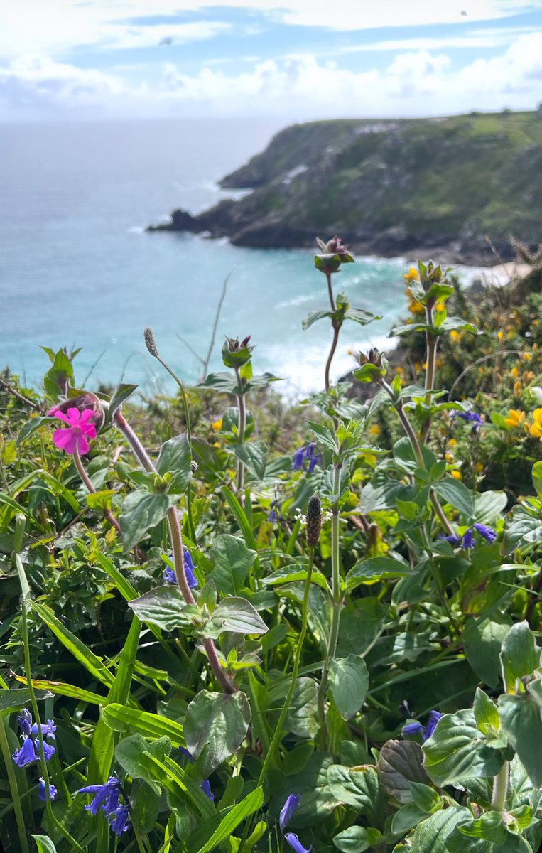 Happy Beltane! 💚 What a glorious day 🤩