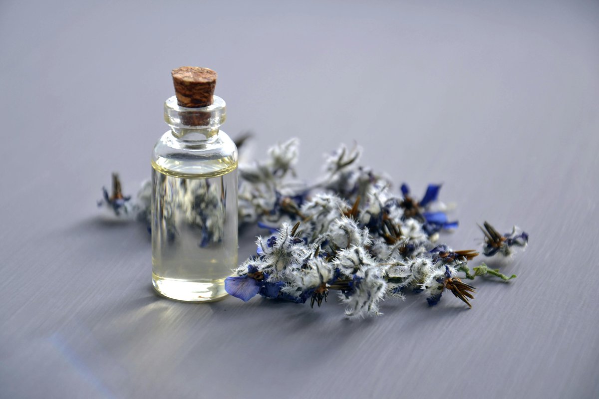 Lavender Oil: Known for its calming and soothing properties, lavender oil is often used to promote relaxation, reduce stress, and improve sleep quality.
#lavenderoil #lavender #essentialoils #lavenderessentialoil #betterliving #aromatherapy   #skincare #natural #patchoulioil