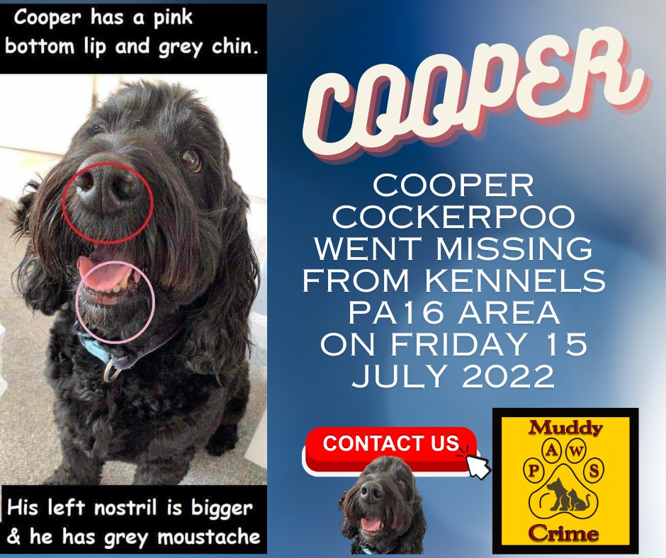 YOUR SHARE could the ONE that reaches the eyes of someone that WILL give us the information others have failed to do . One piece of information can lead to where Cooper is now . Somebody has information !! Please please come forward IN CONFIDENCE TO MUDDYPAWSCRIME ON FACEBOOK