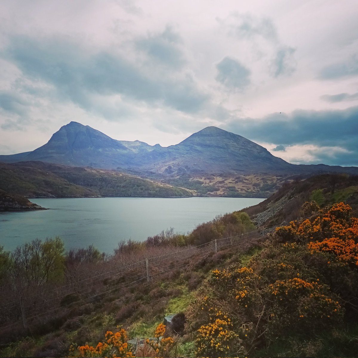 Mostly this week I have been on the road. Here are the waters of Kylesku (sing along now...)