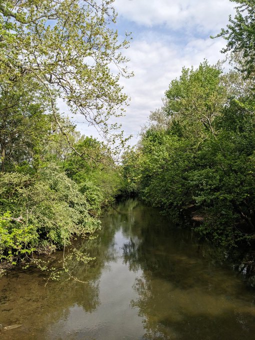 Mornings in the park https://t.co/OZ6XFOmeT8