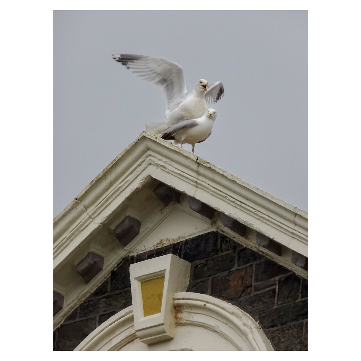 01/05/2024 – Seion (Capel yr Annibynwyr) / Seion Chapel

#aberystwyth #ceredigion #midwales #canolbarthcymru #cymru #wales