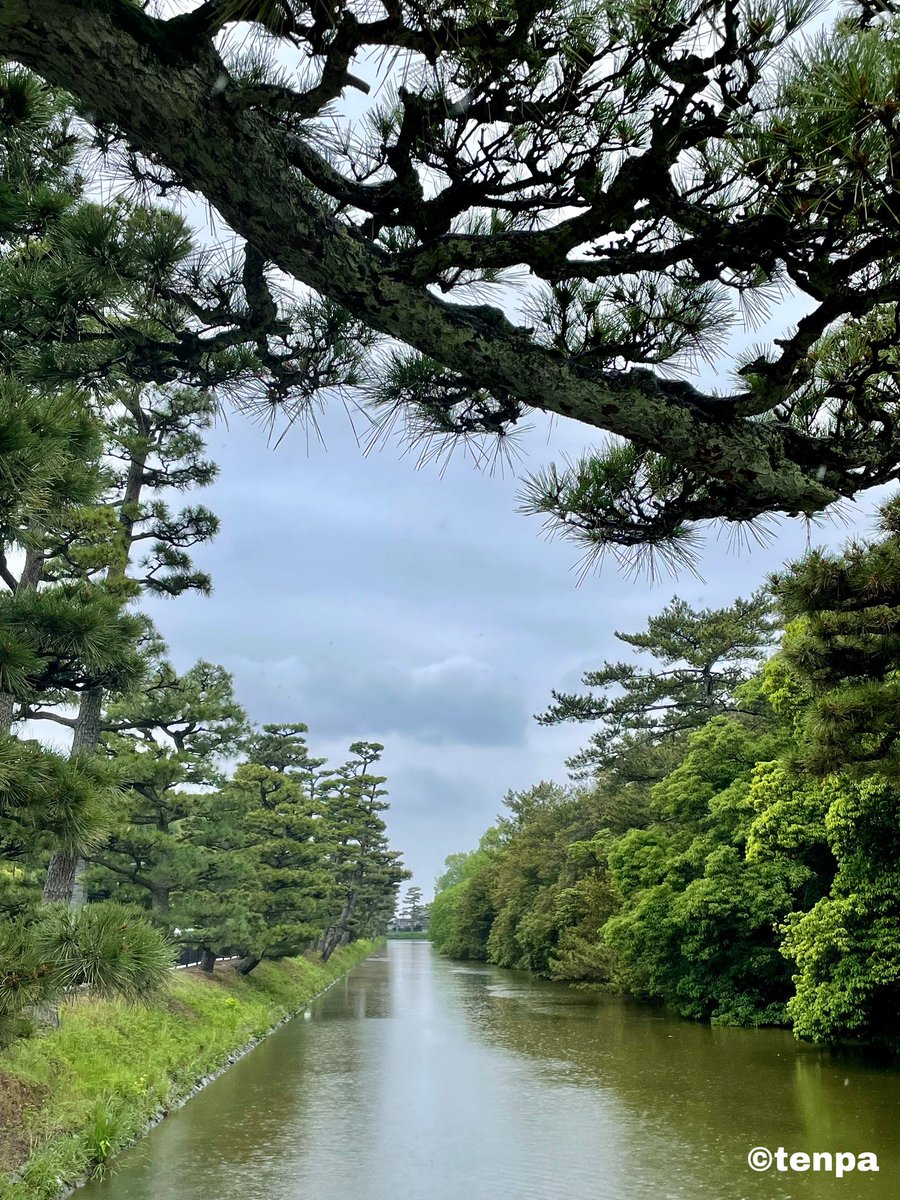 おはようございます☺︎ 世界遺産＼(^o^)／仁徳天皇陵へ参拝に行ってきました百舌鳥古墳群♡ よい1日になりますように