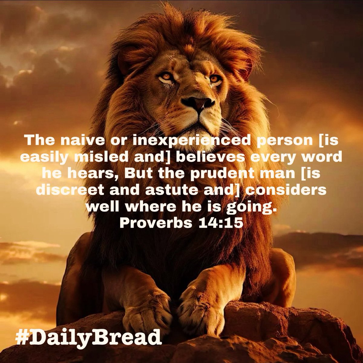 The naive or inexperienced person [is easily misled &] believes every word he hears, But the prudent man [is discreet & astute &| considers well where he is going… 
#Proverbs 14:15
#DailyBread #GodsPlan #EmbraceTheJourney #SpeakLife