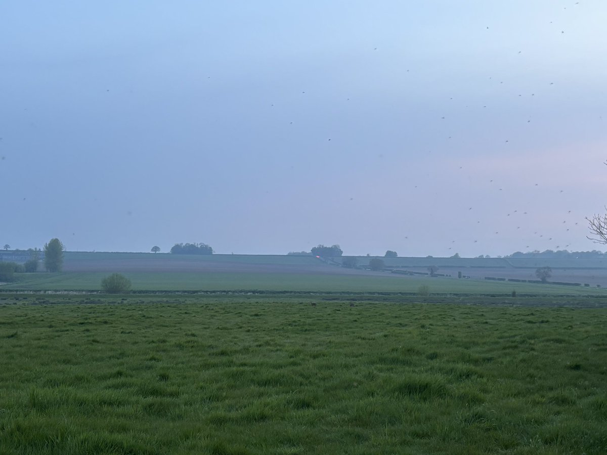 A bit misty here too, near Sheaab’s wath henge in the Bain valley north of Horncastle!