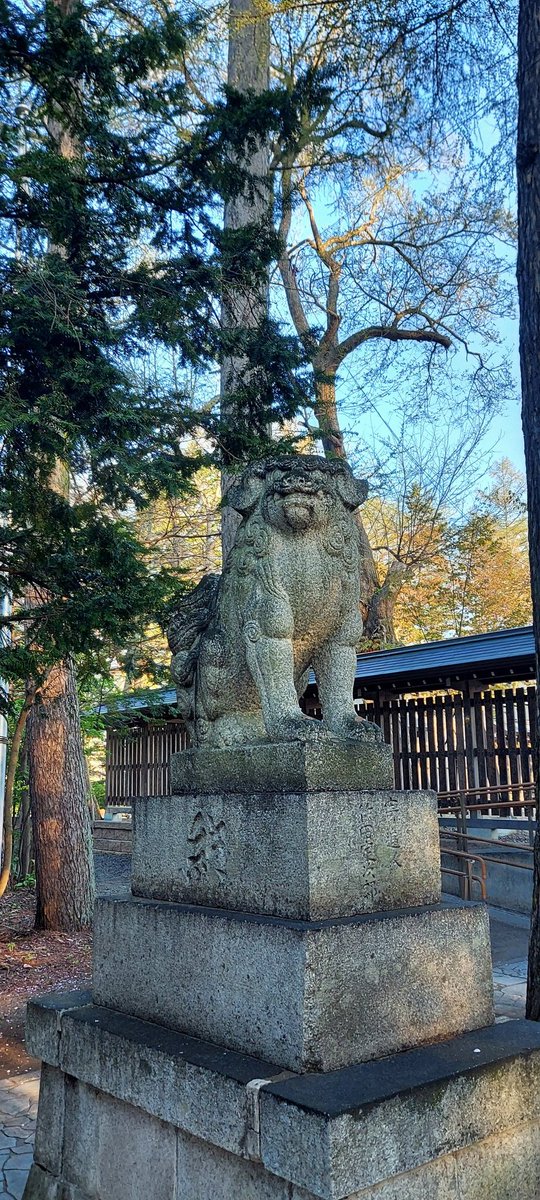 ミオしゃが１日でも早く元気なります様に🙏