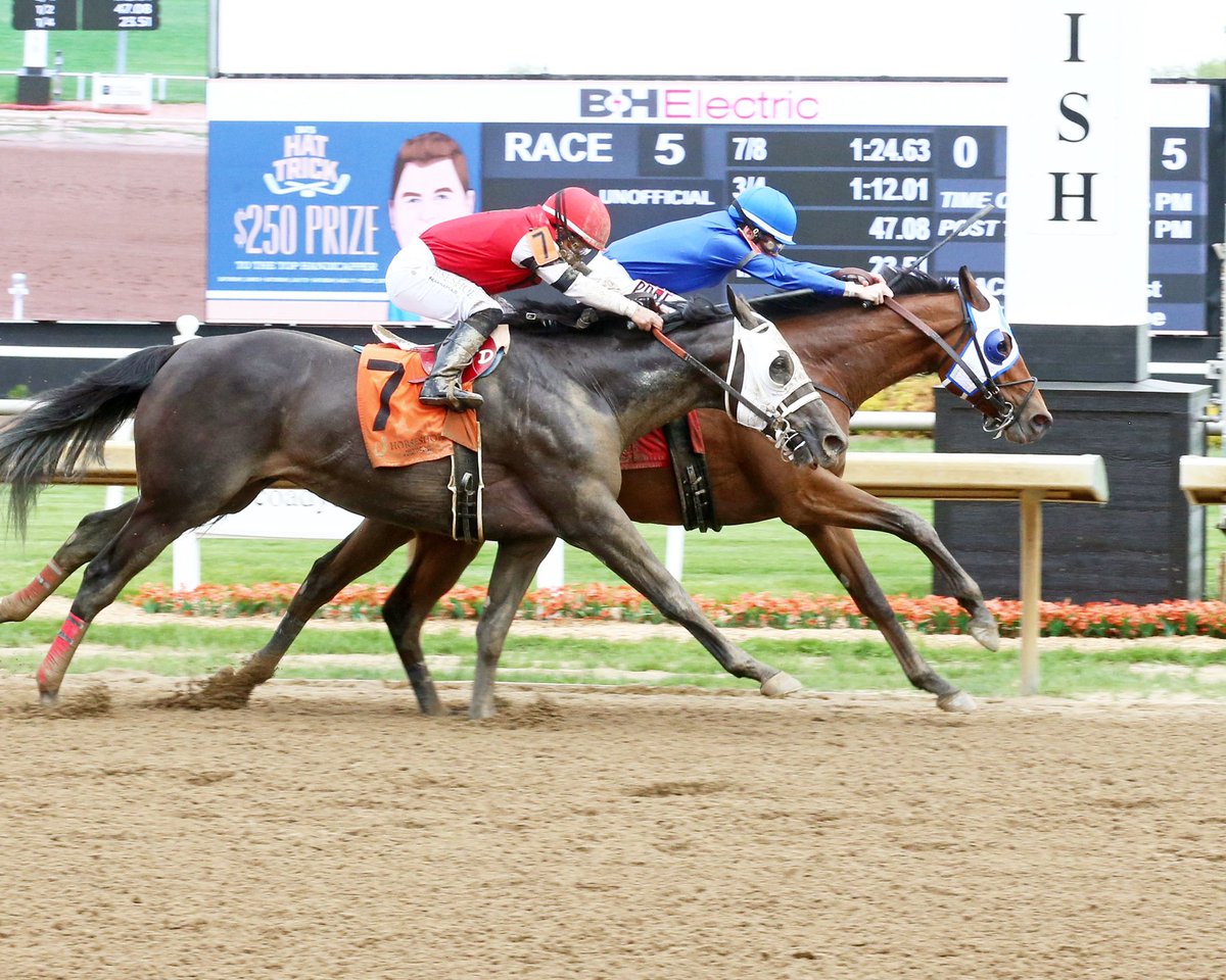 A three-for-three start @HSIndyRacing this meet for @Stidhamracing with those horses coming to town. The @godolphin homebred NELSON AVENUE (Into Mischief) rallying up the rail for apprentice Joseph Bealmear to get the result in the Mile feature. #RaceLikeACaesar