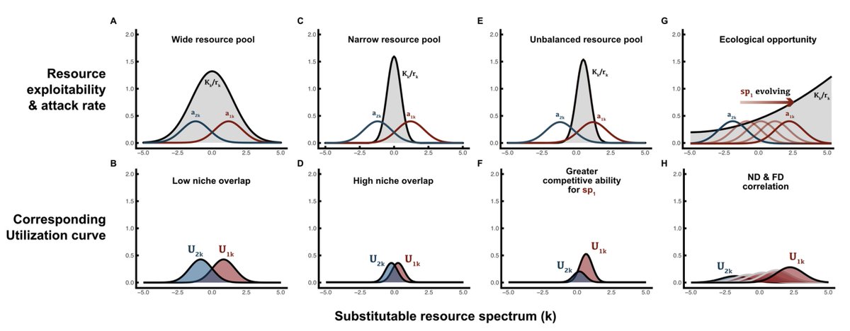 Excited to share a new preprint w/ @gerlame!

Here we demystify MacArthur’s consumer resource model and share insights its provided to our mechanistic understanding and biological intuition of how competition and coexistence operate.

doi.org/10.32942/X2W32G
