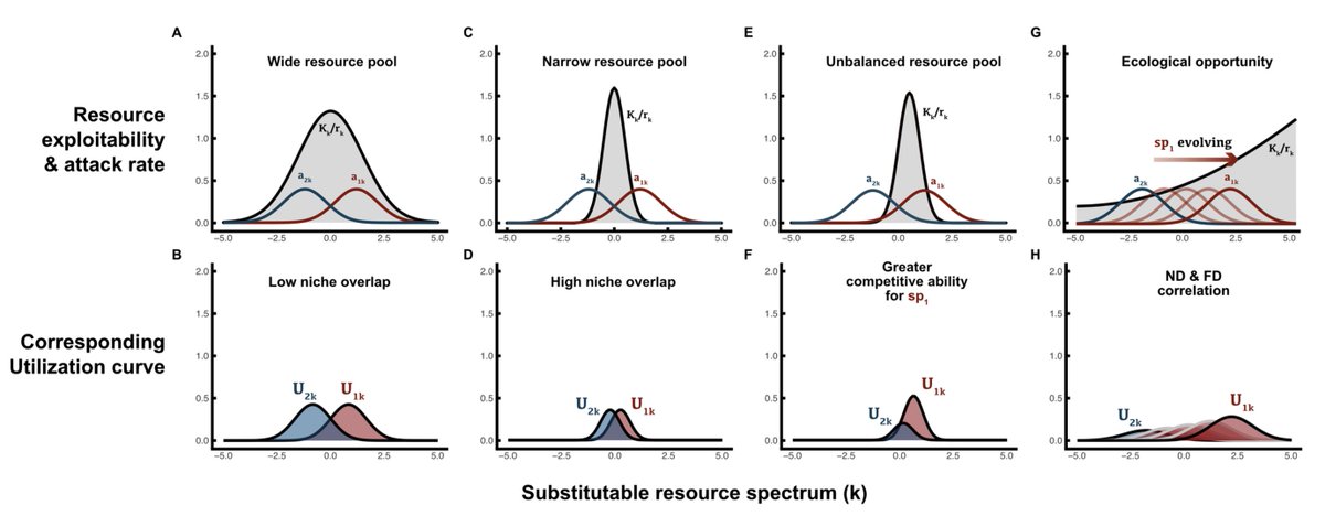 Excited to share a new preprint w/ @gerlame! Here we demystify MacArthur’s consumer resource model and share insights its provided to our mechanistic understanding and biological intuition of how competition and coexistence operate. doi.org/10.32942/X2W32G