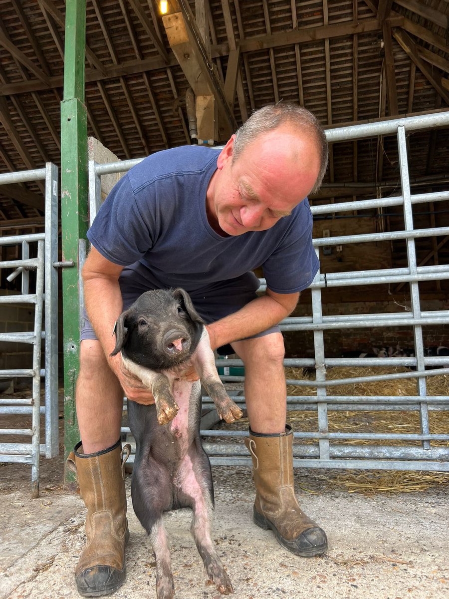Catch up with May’s edition of ‘Farmer Patrick Says’ in <a href="/TandridgeIndpt/">The Tandridge Independent</a> 🧑🏻‍🌾📰

What you as consumers should know about the industry in which your food comes from, from the opinion of Farmer P 💭

Read online here or pick up a copy from us: 🔗 heyzine.com/flip-book/9721…
📍 Godstone