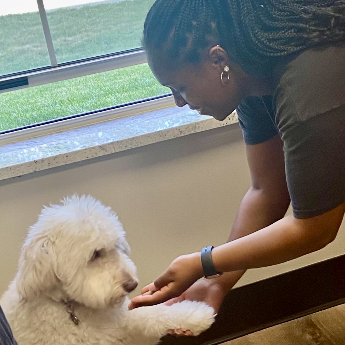 🐶Puppy cuddles make everything better, especially during finals week! 🐾 The CHHS LLC had a special visitor to help our students de-stress and recharge. Who knew studying could be this adorable? 😍
