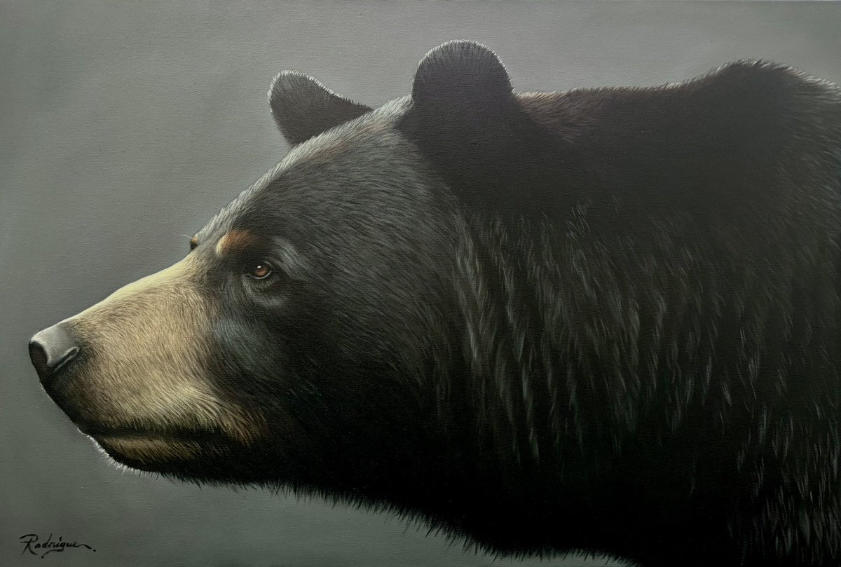 New piece I created which will be in a book about artists from the Georgian Bay area. The title is Bearly There, and it’s 20 x 30 oil, and available at the Backstreet Gallery in the French River. ☺️

#artwork #oilpainting #wildlifeart