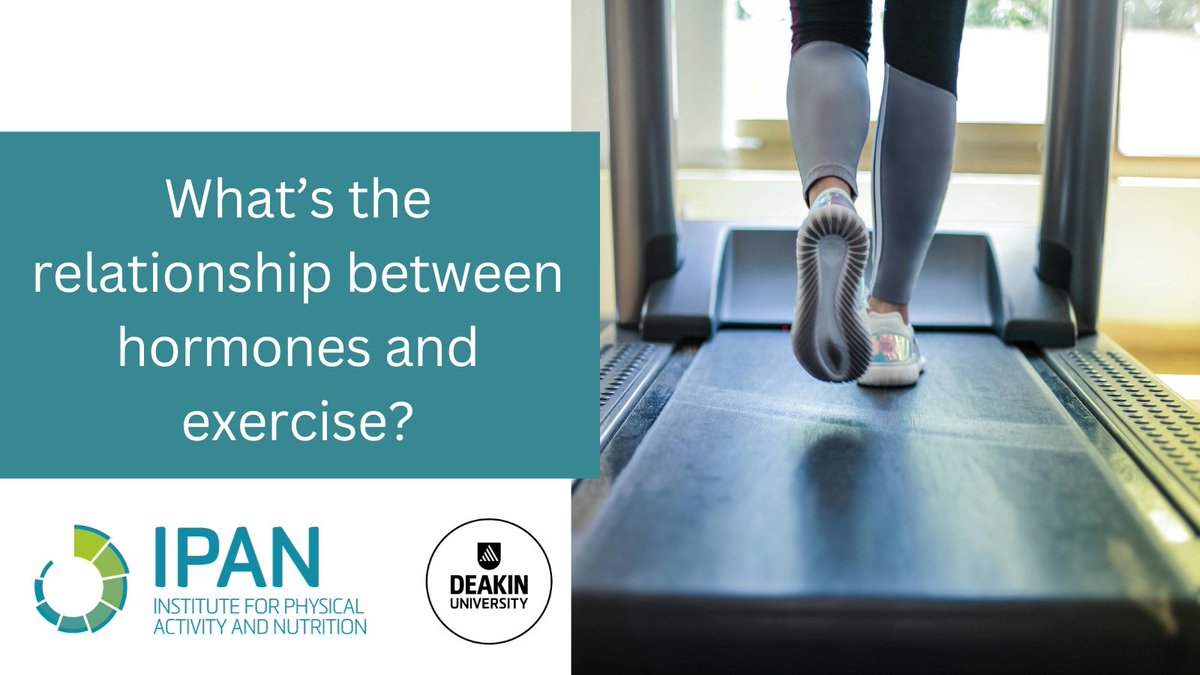 Our hormones play a vital role in sport and exercise. IPAN’s Associate Professor Severine Lamon explains how hormones respond to different types of exercise and impact physical performance and injury risk. Read more: bit.ly/4aAAA44 @deakinresearch