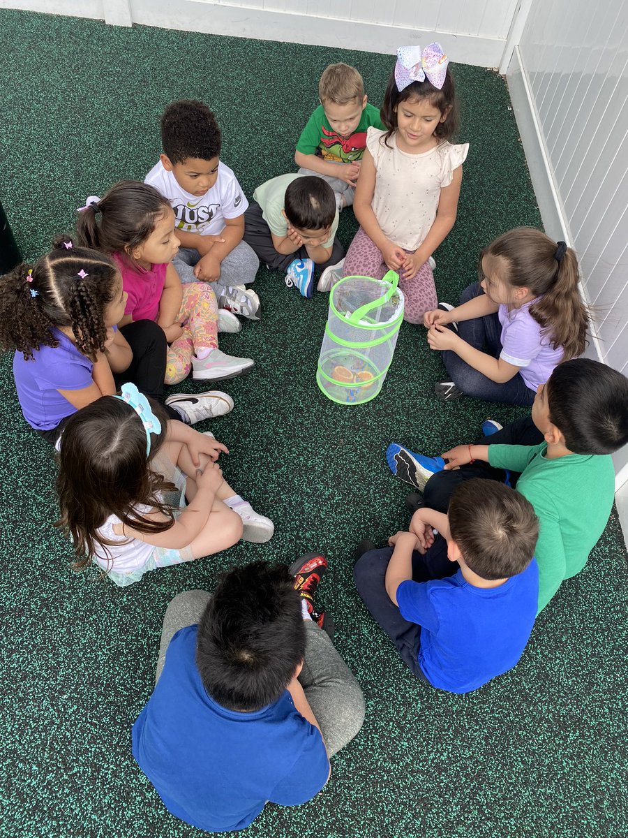 Ms_SandraCA's tweet photo. Releasing our butterflies today 🐛🦋! Such an amazing experience for us all! @TheHECC_BPS @BPS_Beginners https://t.co/MeJQkN6XxG