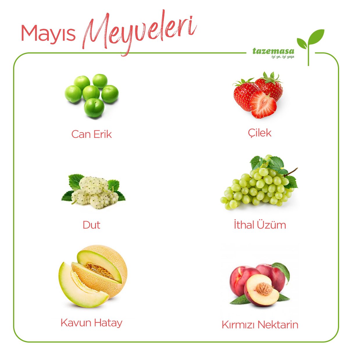 Hoşgeldin Mayıs 🌸 Mevsiminde beslenmek hem doğa hem de sağlığımız için önemli. İşte mayıs ayında tüketebileceğiniz meyveler🌱 #tazemasa #tazemasacom #iyiyeiyiyaşa #mayısmeyveleri #mevsimindetüketelim #doğal #organik #sürdürülebilirlik #herşeysiziniçin #afiyetleye