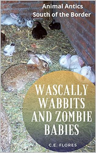 📚 Need a good laugh? Read ''Animal Antics South of the Border,'' where the Flores family tackles wascally wabbits and zombie babies. Perfect for a pick-me-up. #NationalPetMonth
🔗 Get your copy here: buff.ly/3nKQq5F