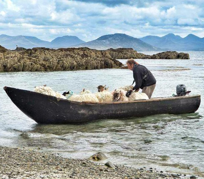 From - Tourism Ireland
When you're trying to beat the traffic before the rush...🐑⛵

📍 Connemara, County Galway

Connemara National Park Visitor Centre lovetovisitireland.com/place/connemar…