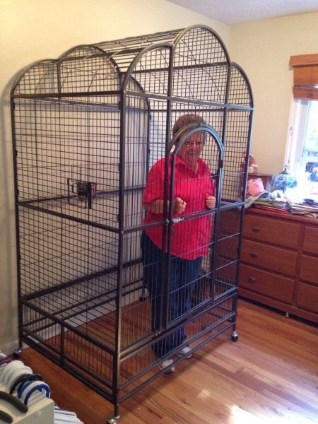 Keeping grandma in the cage until we get our new 'significant playmaker' on the roster. #Steelers #NFL