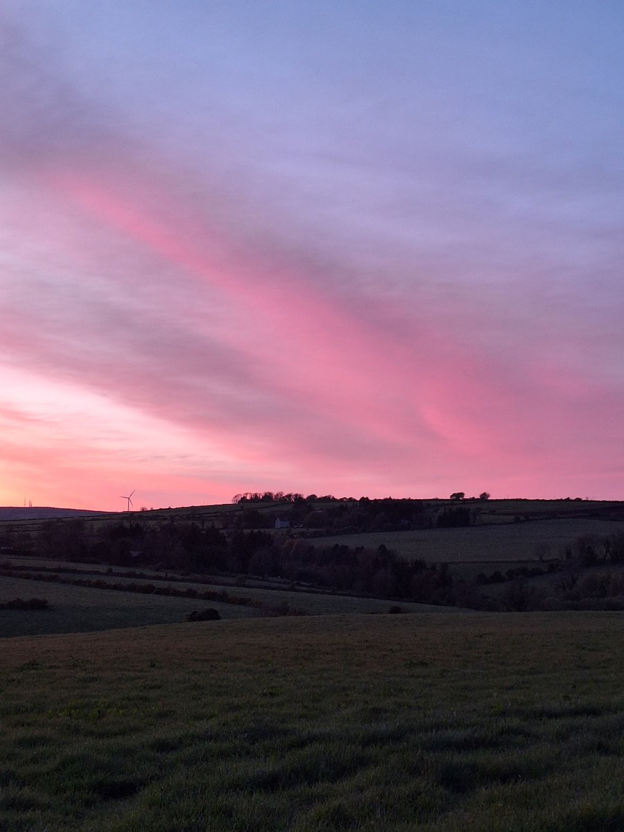 Pink sunset this evening 💗