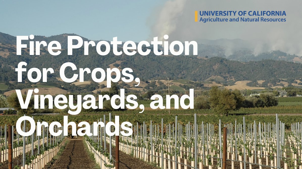 It’s #WildfirePreparednessWeek! The #UCANR Fire Network gathered resources to help you protect crops, vineyards, and orchards. @lenyaqd @ValachovicYana @UCsierraforest @lowseverityfire bit.ly/4dpdEqg