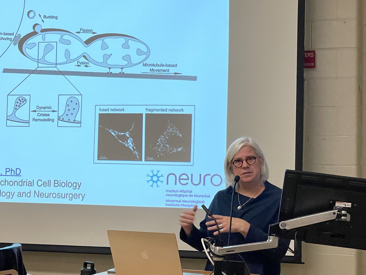 Fantastic seminar today at ⁦@UofT⁩ on mitochondria-derived vesicles and Parkinson’s disease by the incomparable ⁦@mitodynamics⁩.