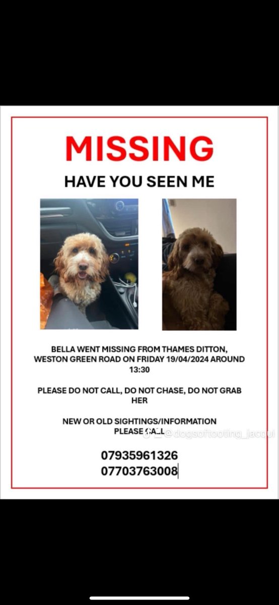 Bella is still missing where is she #ThamesDitton #WestonPark #Kt7