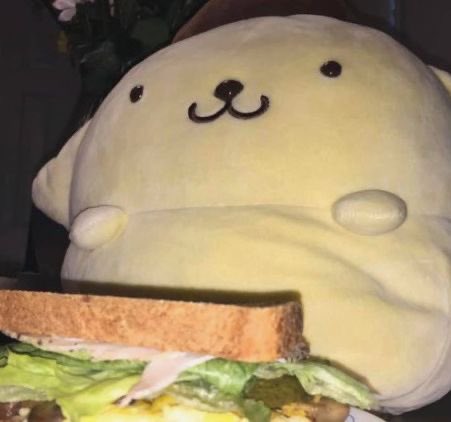 Sammich ૮₍  ˶•⤙•˶ ₎ა