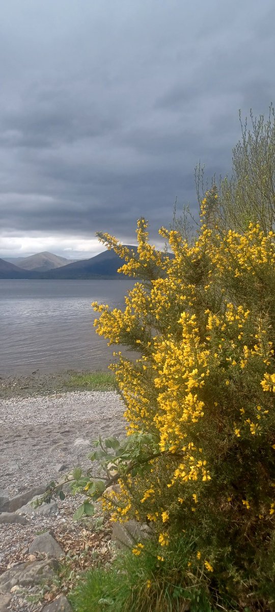 Tuesday - day two of the #WestHighlandWay . A pretty wet and windy start! Stunning views from Conic Hill and our first sight of Loch Lomond!