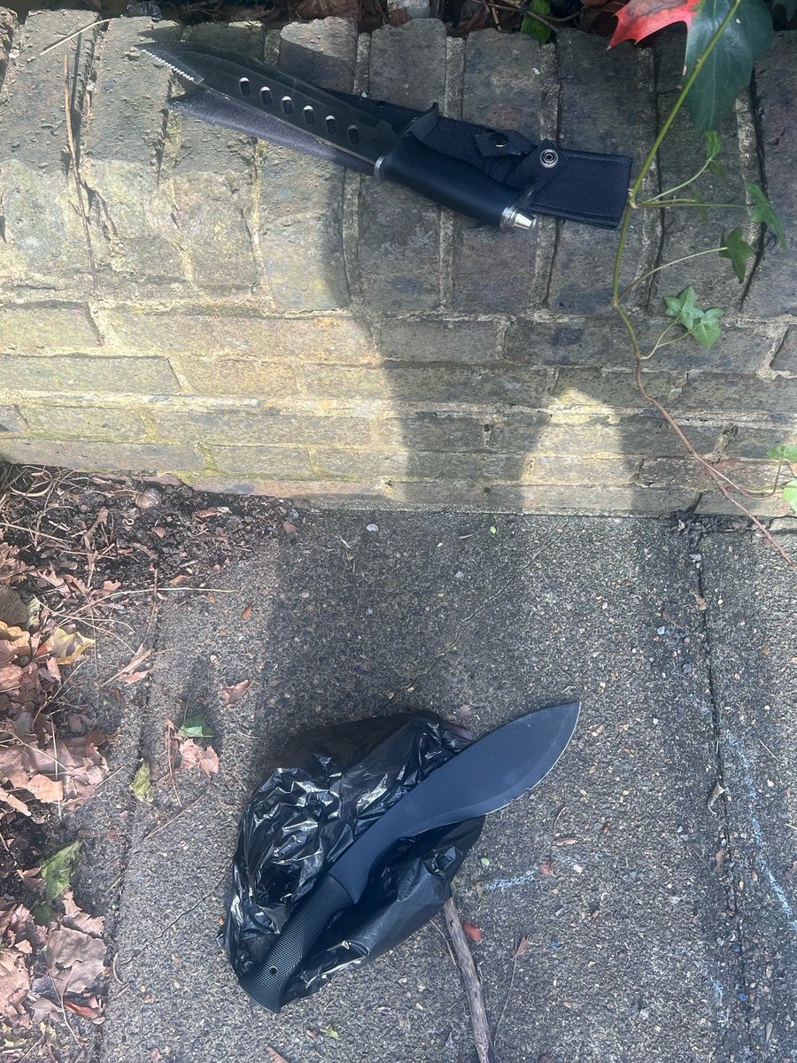 TSG U5:1 carrying out patrols this evening on @MPSHackney. Call received to a group of males with knives. Upon arrival one male located trying to discard these. ^5882U