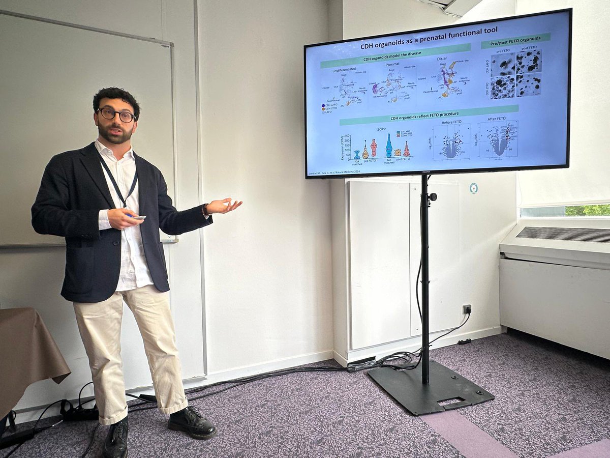 Paolo De Coppi (@paolodecoppi) on Twitter photo Great #CDH meeting in #Lille wonderful to share data and learn new things about this challenging conditions <a href="/CDHUK_CHARITY/">CDH UK</a> <a href="/giuseppecala94/">Giuseppe Calà</a> <a href="/GerliLab/">Mattia FM Gerli, PhD</a> and Giorgia D’Ariano <a href="/GreatOrmondSt/">Great Ormond Street Hospital for Children</a> <a href="/UCLchildhealth/">UCL Great Ormond Street Institute of Child Health</a> <a href="/DBC_ICH/">Developmental Biology & Cancer</a> <a href="/bambinogesu/">Bambino Gesù</a> Great #CDH meeting in #Lille wonderful to share data and learn new things about this challenging conditions <a href="/CDHUK_CHARITY/">CDH UK</a> <a href="/giuseppecala94/">Giuseppe Calà</a> <a href="/GerliLab/">Mattia FM Gerli, PhD</a> and Giorgia D’Ariano <a href="/GreatOrmondSt/">Great Ormond Street Hospital for Children</a> <a href="/UCLchildhealth/">UCL Great Ormond Street Institute of Child Health</a> <a href="/DBC_ICH/">Developmental Biology & Cancer</a> <a href="/bambinogesu/">Bambino Gesù</a>