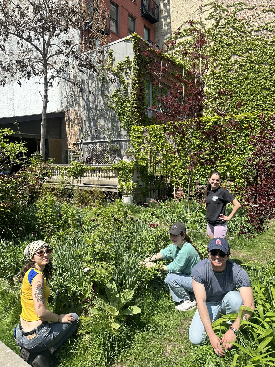 ElizabethStGrdn's tweet photo. Our amazing volunteers are always hard at work keeping the garden beautiful! Taking a moment to appreciate all of their dedication.
Check out the link in our bio to sign up for an orientation. All are welcome!
#ElizabethStreetGarden #SaveESG https://t.co/KIi2Jj1kDm