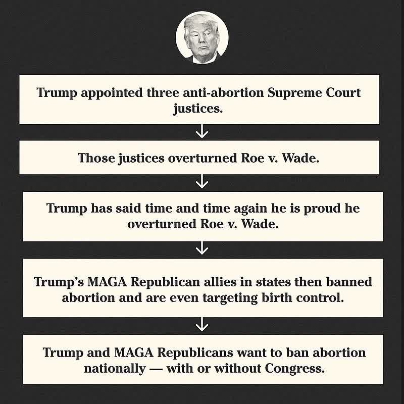 Here is Trump's track record when it comes to abortion and reproductive freedom. Just think of the damage he could do with a second term. Make no mistake: MAGA Republicans WANT a national abortion ban. #TrumpsFloridaAbortionBan #DemCastFL #DemsUnited #RoeYourVote