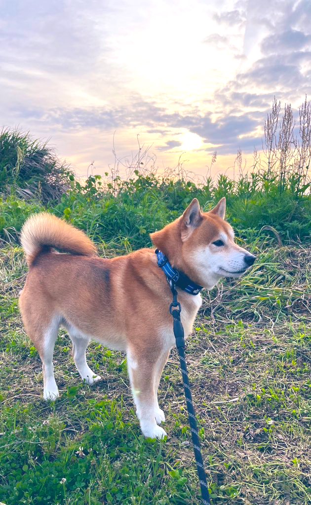 素敵な出会いが待っている💓