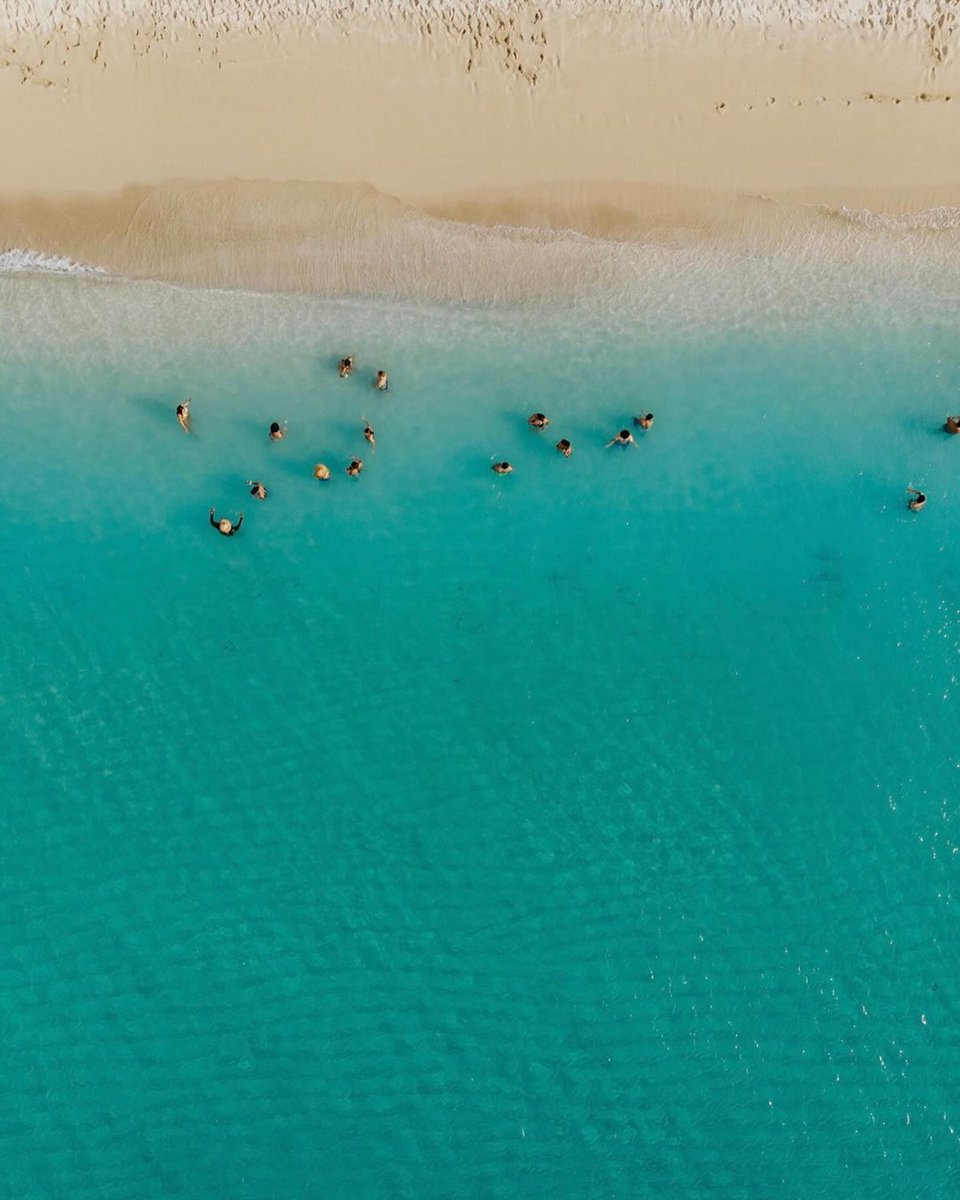 Come on in, the water is (better than) fine. 🌊​
​
IG 📸: meredithzimmerman_​
​
#AVibeLikeNoOther #VisitUSVI #NaturallyInRhythm #USVirginIslands #USVI #CaribbeanTravel