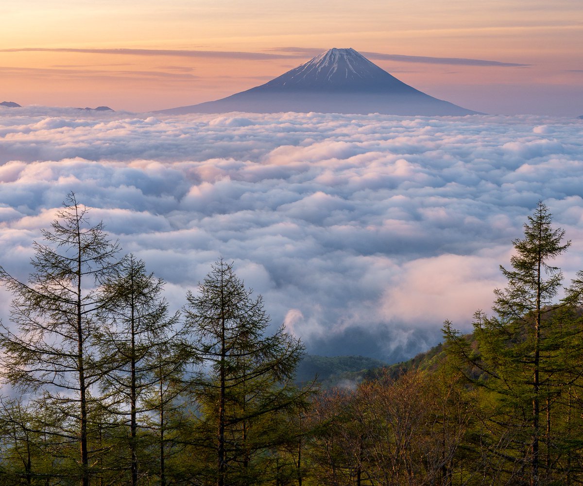 夜明けの雲海富士

韮崎市にて以前撮影

#富士山 #雲海 #Nikon
