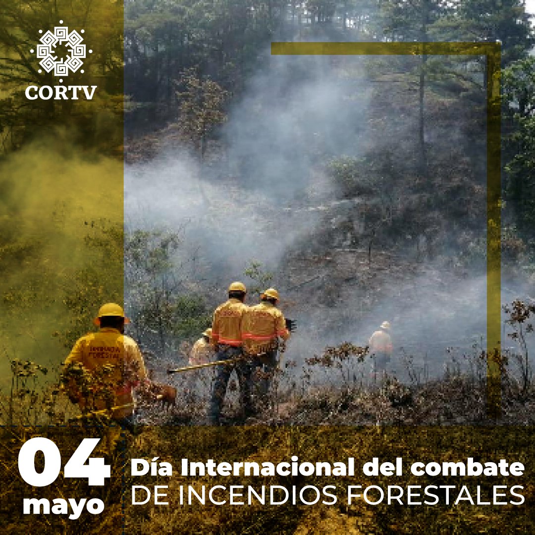🔥 En el 𝗗𝗶́𝗮 𝗜𝗻𝘁𝗲𝗿𝗻𝗮𝗰𝗶𝗼𝗻𝗮𝗹 𝗱𝗲𝗹 𝗖𝗼𝗺𝗯𝗮𝘁𝗶𝗲𝗻𝘁𝗲 𝗱𝗲 𝗜𝗻𝗰𝗲𝗻𝗱𝗶𝗼𝘀 𝗙𝗼𝗿𝗲𝘀𝘁𝗮𝗹𝗲𝘀, aplaudimos a quienes enfrentan las llamas con valentía. Estos guardianes de la naturaleza arriesgan todo para proteger nuestros bosques y comunidades.🌿👏