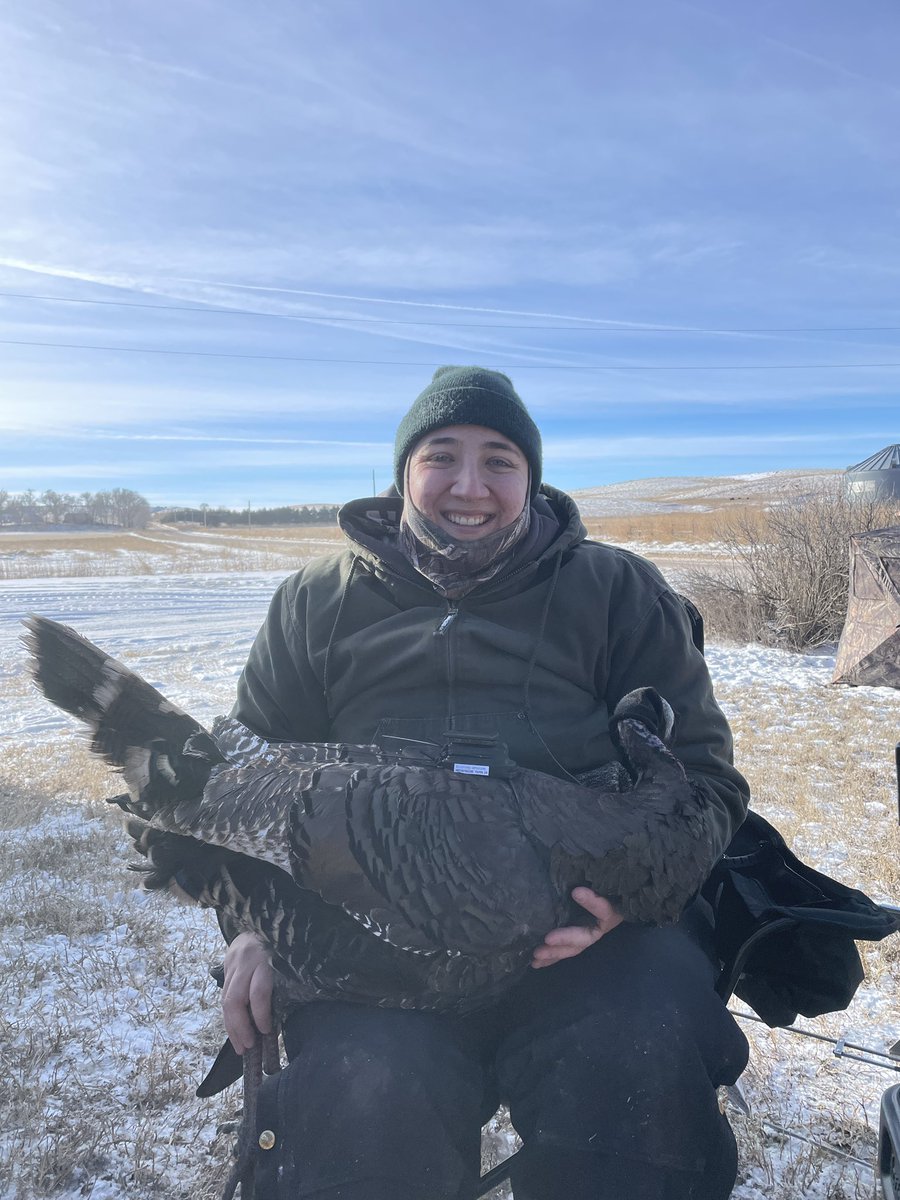 Applied Wildlife Ecology & Spatial Movement Lab tweet media