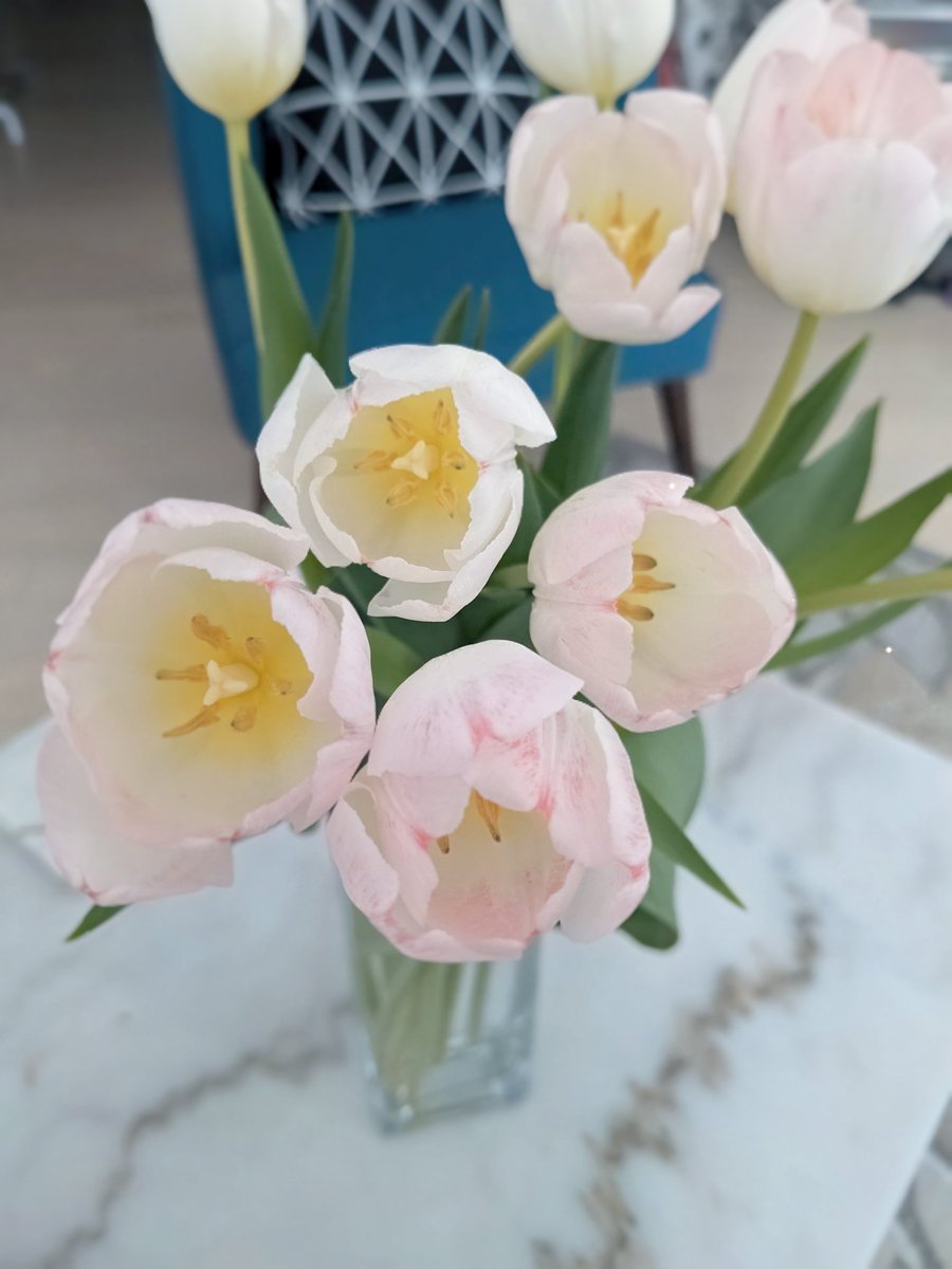 dorisyincpa's tweet photo. Dear Global Pioneers,

I hope you're all doing well and wanted to wish you a Happy Labor Day! 💕💕💕

In order to express my grateful to our GCV community hard work and dedication, I have purchased pink tulips for our GCV community. These tulips represent the blooming victory flowers that symbolize our success as a community.

I hope that everyone is enjoying your time before the Open Mainnet! I also want to remind you to notify your community to pay attention to all of your social media accounts around 15 minutes before 9 am EST/1 pm GMT on May 5th. There will be a link to watch the live YouTube and Facebook stream from the Zoom Conference.

I will be giving a speech at the beginning and end of the conference, so be sure to tune in!

Best regards,

Doris Yin🪷🪷🪷